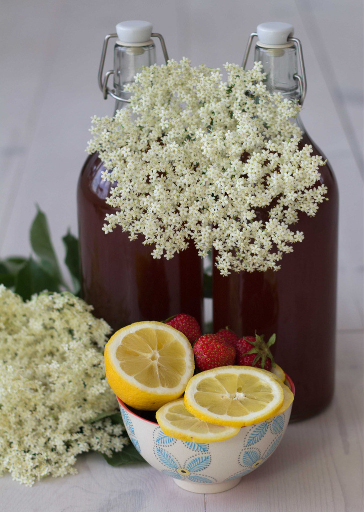 Recipe for Homemade Elderflower Juice