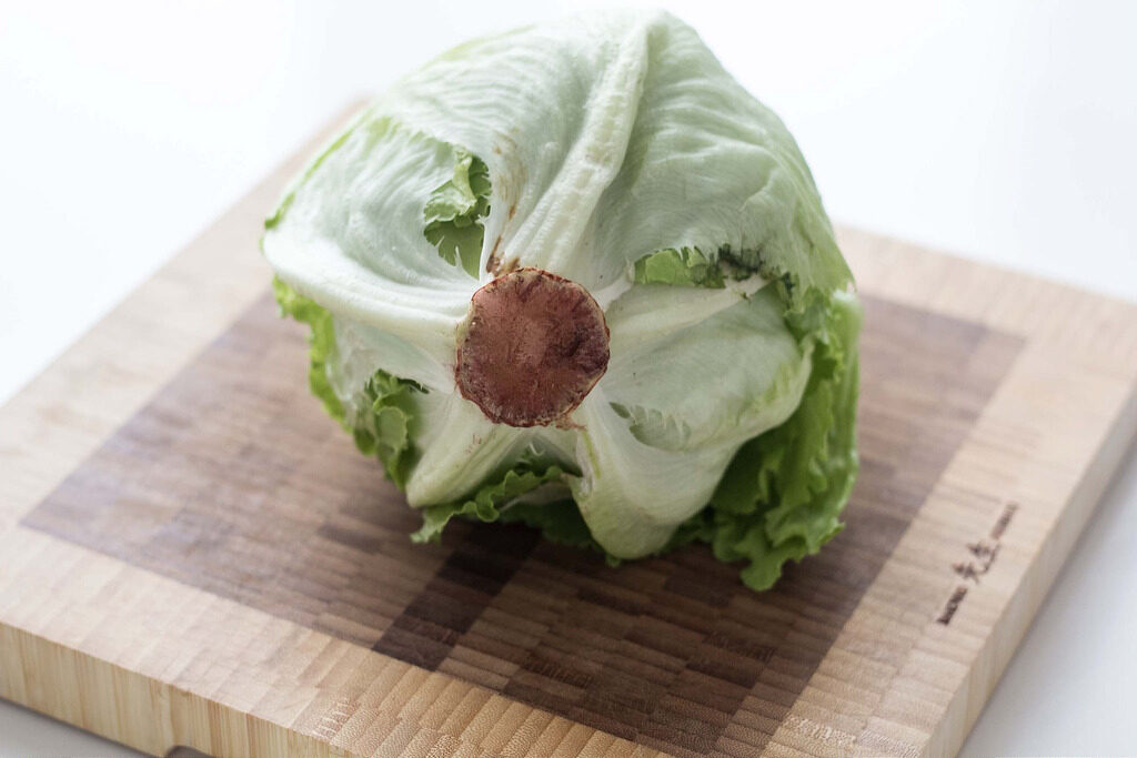 Guide How To: Clean and Cut Iceberg Lettuce the Fast Way