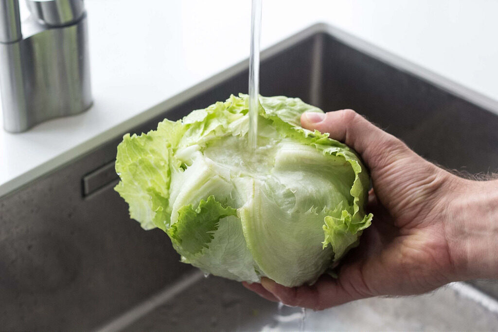 Guia de Como: Limpar e Cortar Alface Iceberg o Caminho Rápido Clean and Cut Iceberg Lettuce the Fast Way